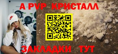 гидра Кандалакша