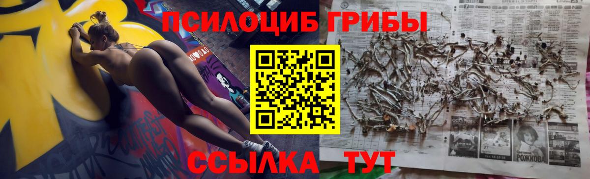 Галлюциногенные грибы Psilocybe  Псилоцибиновые грибы Magic Shrooms  Лабытнанги  Вход с VPN 